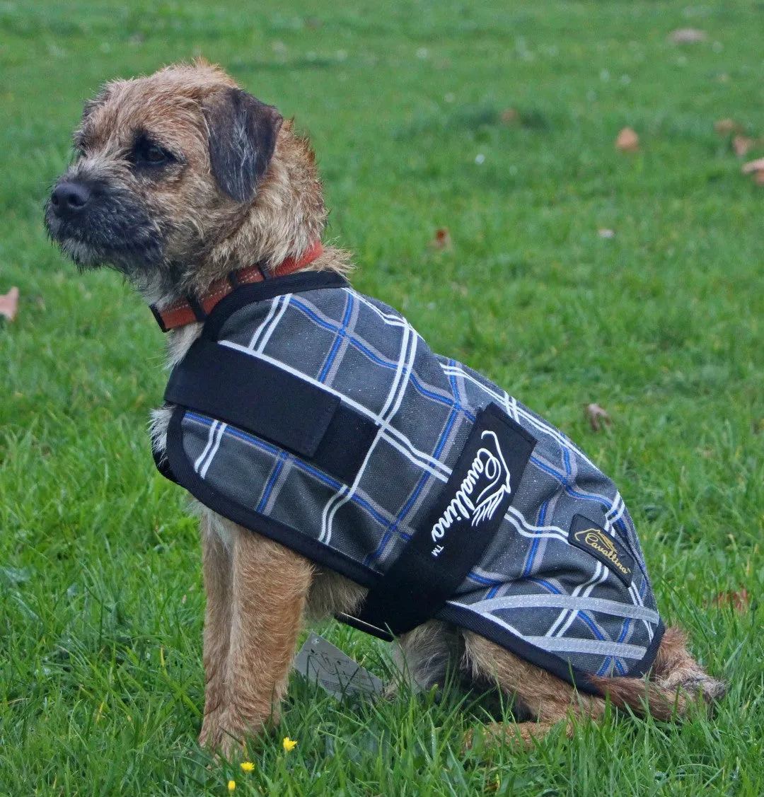 Cavallino Badminton Dog Coat