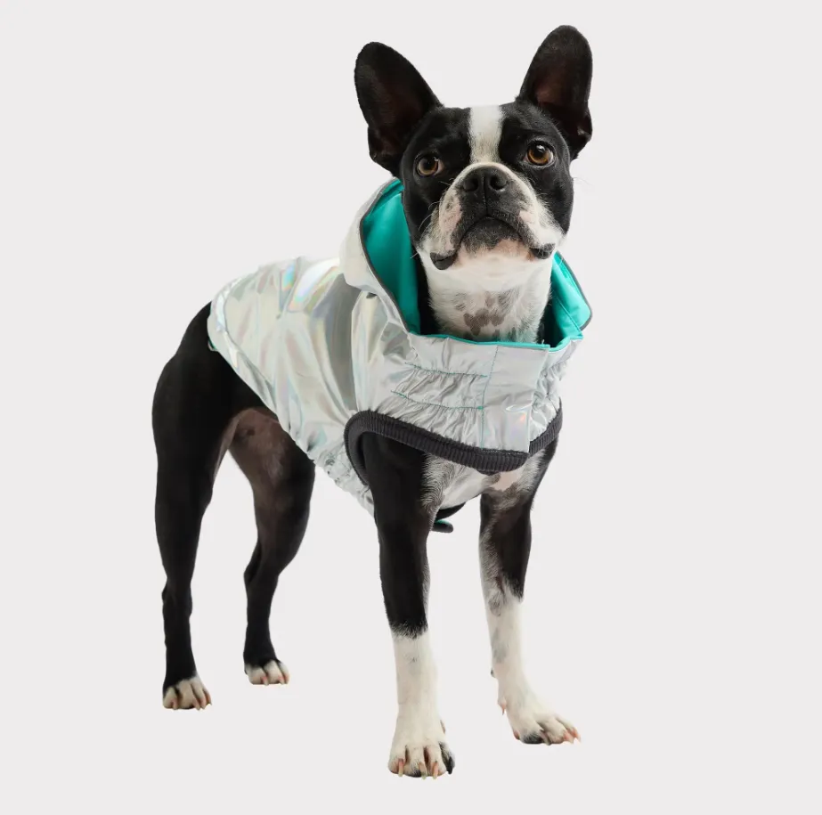 GF Pet Reversible Raincoat - Neon Aqua & Iridescent