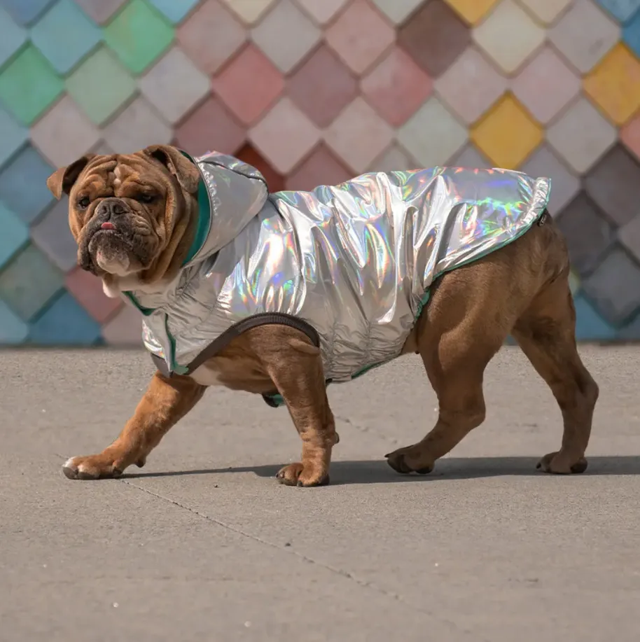 GF Pet Reversible Raincoat - Neon Aqua & Iridescent