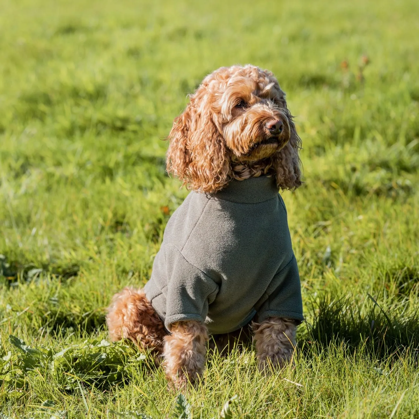 Stix Waterproof Fleece Coats for Pugs